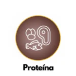 protein